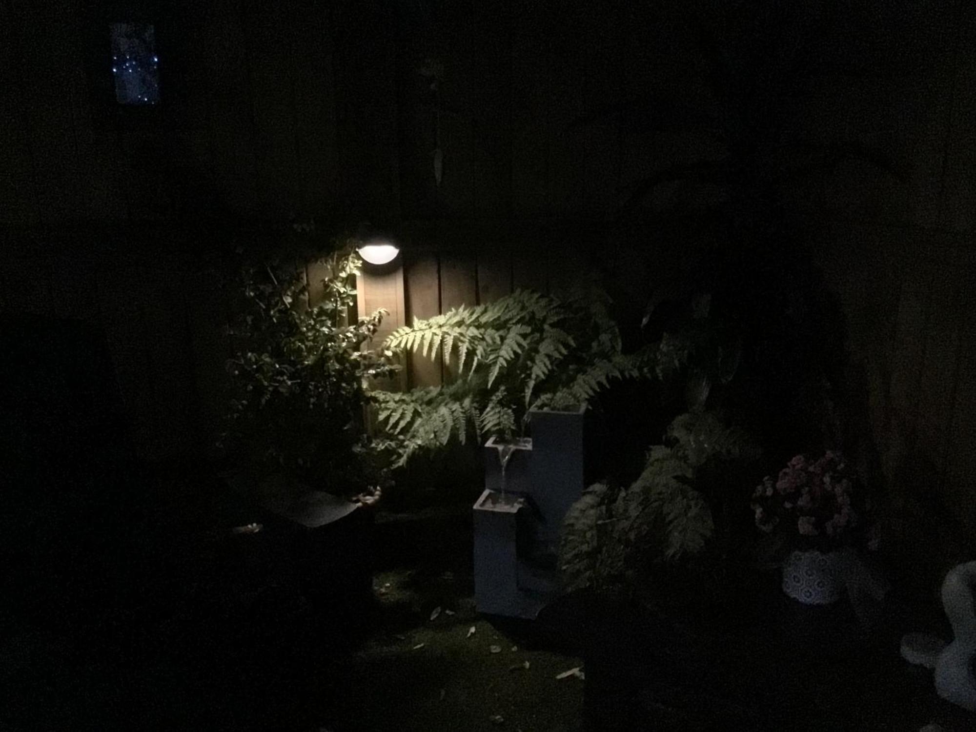 Tranquil Garden Studio Tauranga Exterior foto